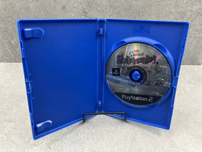 The Simpsons Skateboarding